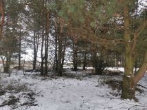 Działka leśna Nowy Jasieniec Iłżecki. Zdjęcie 1