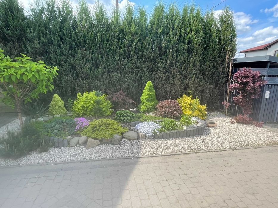 bliźniak Słupno. Zdjęcie 4