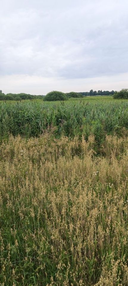 Działka rolna Białki Dolne. Zdjęcie 6