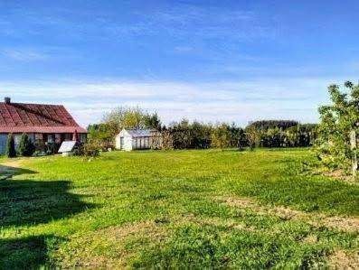 siedlisko Dzierzby-Włościańskie. Zdjęcie 4