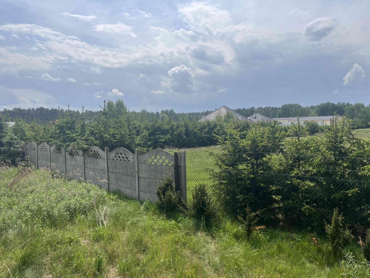 gospodarstwo Międzylesie, ul. Jeziorna. Zdjęcie 8