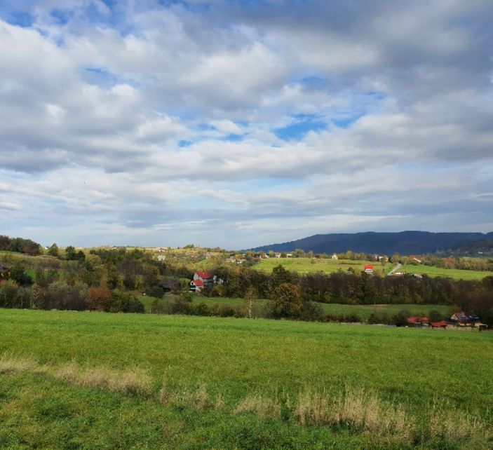 Działka rolno-budowlana Śleszowice Rówieniec. Zdjęcie 1
