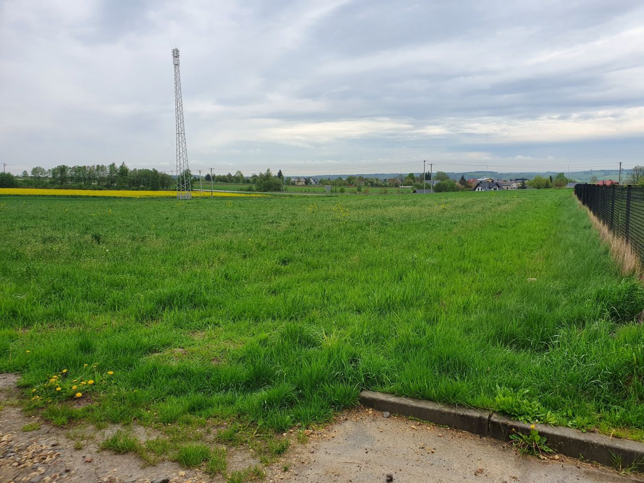 Działka rolno-budowlana Skała, ul. Sobiesęcka. Zdjęcie 1