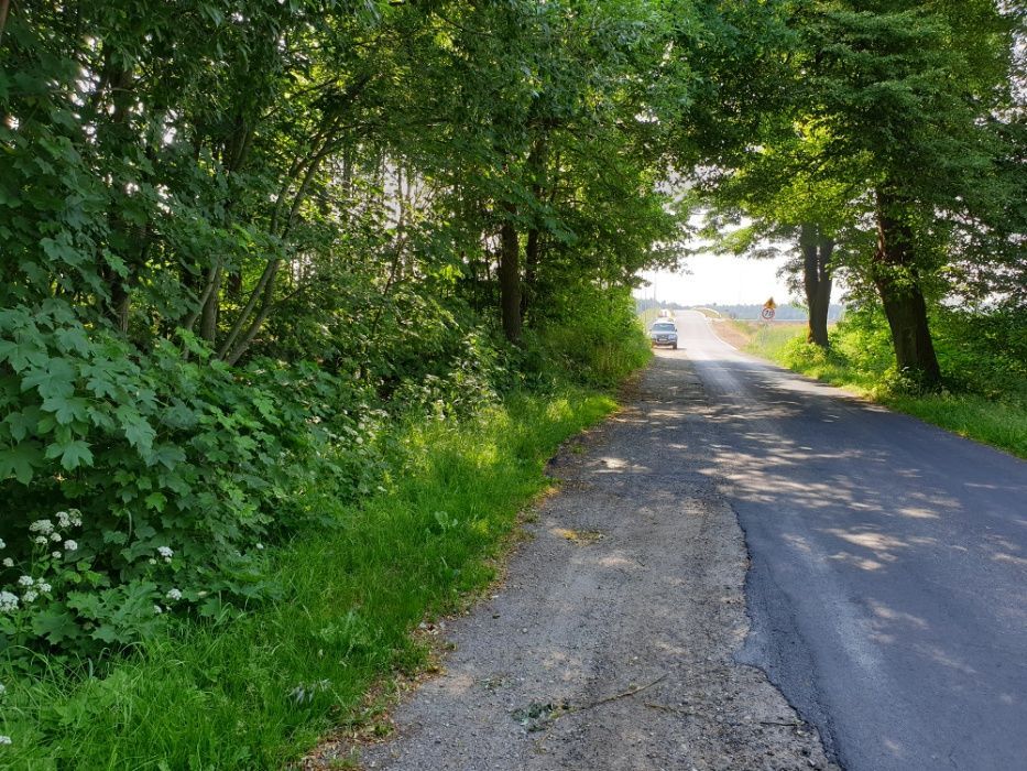 Działka rolno-budowlana Karnieszewice. Zdjęcie 8