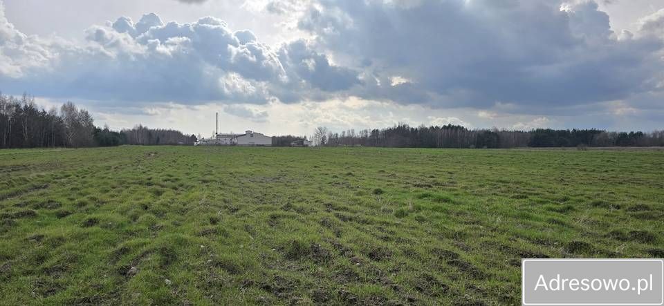 Hala/magazyn Guzów-Kolonia. Zdjęcie 2