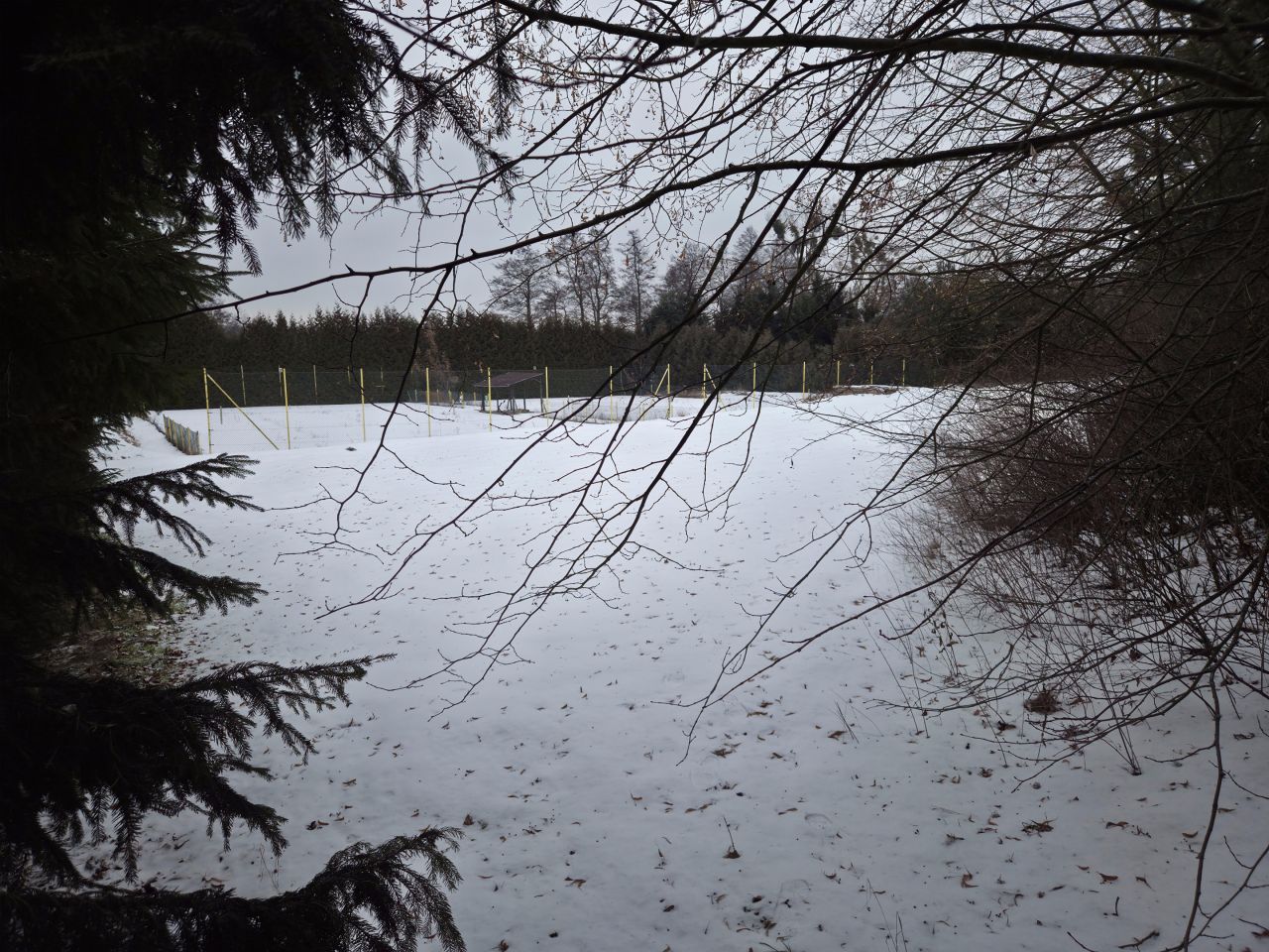 dom wolnostojący, 7 pokoi Strączno. Zdjęcie 86