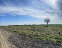 Działka rolna Snowidza. Zdjęcie 1