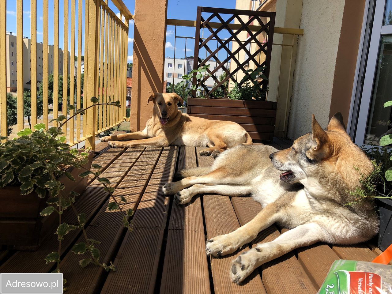 Mieszkanie 4-pokojowe Bydgoszcz, ul. bł. Wincentego Kadłubka. Zdjęcie 7