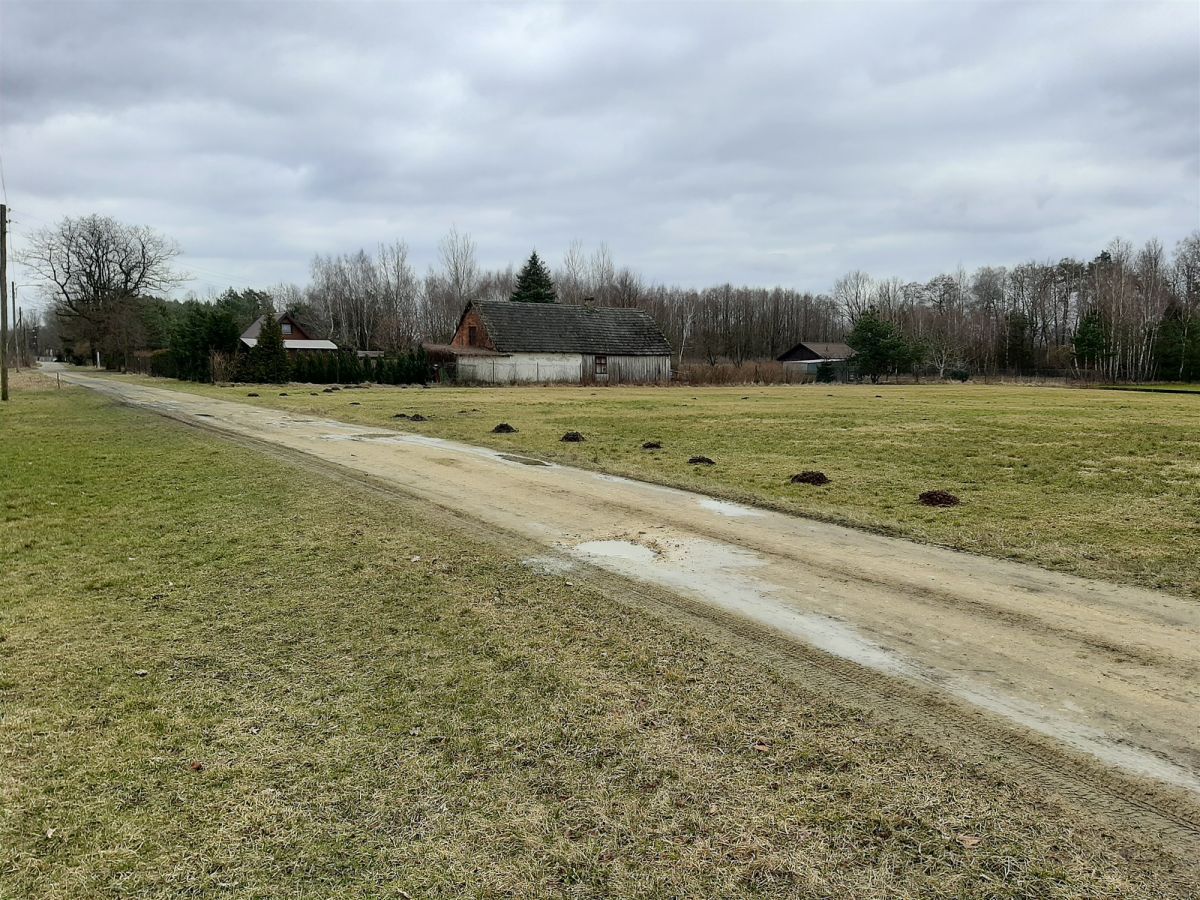 Działka rolna Wrzeszczewice Nowe. Zdjęcie 2