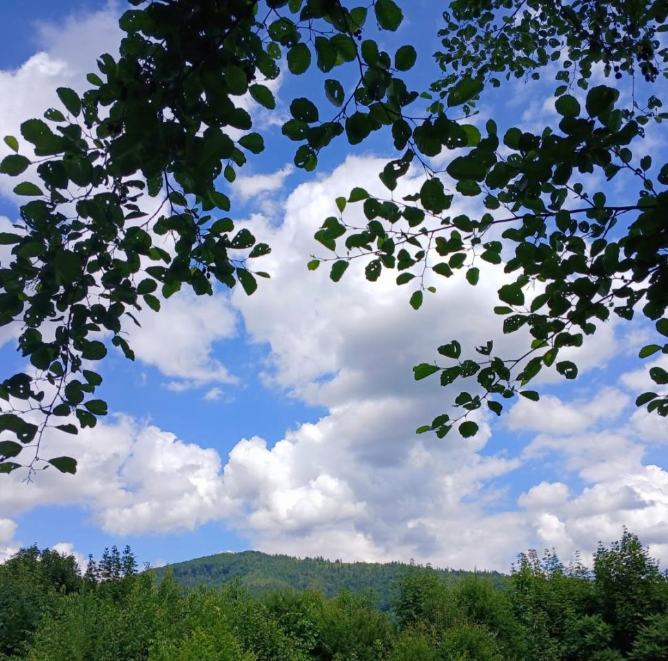 Działka inna Ustroń Centrum, ul. Drozdów. Zdjęcie 6