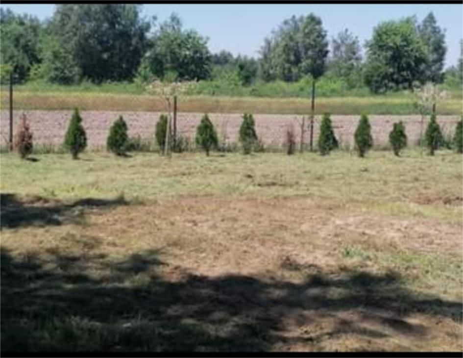 Działka budowlana Lasowice. Zdjęcie 8