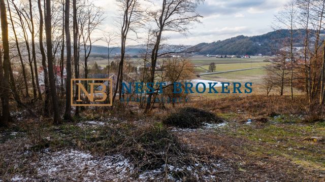 Działka budowlana Roztoka-Brzeziny. Zdjęcie 15