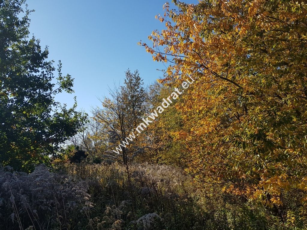 Działka budowlana Kajetany. Zdjęcie 1