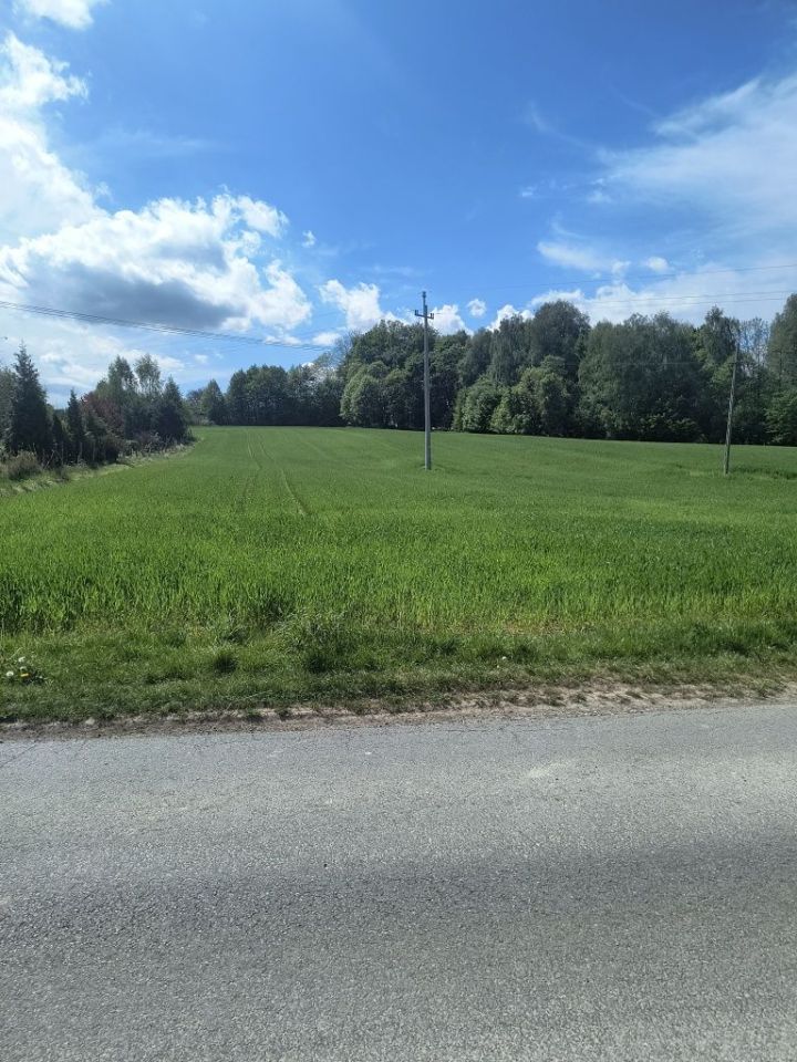 Działka rolno-budowlana Simoradz. Zdjęcie 1