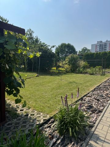 Działka rod Rybnik, ul. Wodzisławska. Zdjęcie 1