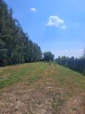 Działka rolno-budowlana Strojec, ul. Zacisze. Zdjęcie 3