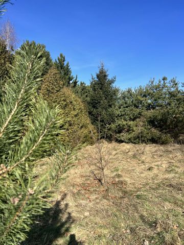 Działka rekreacyjna Dąb Polski, ul. Bratkowa. Zdjęcie 7