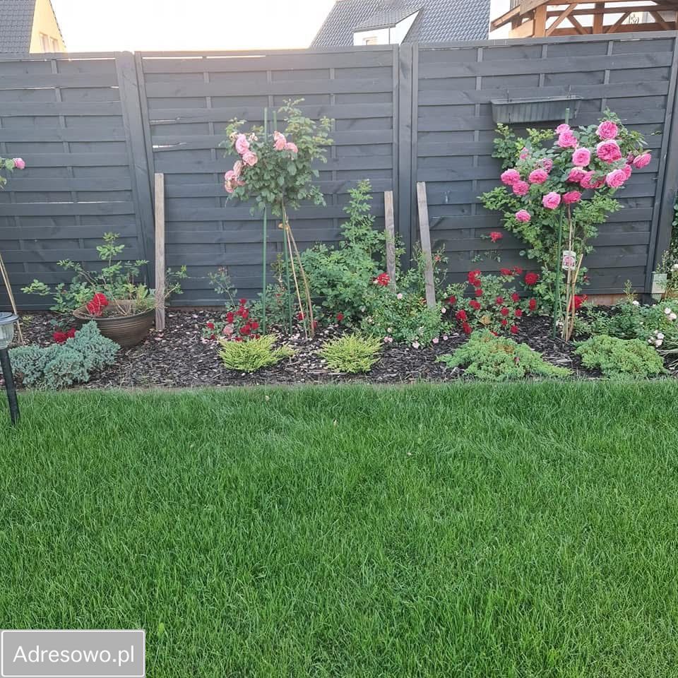 bliźniak, 4 pokoje Pucice, ul. Goleniowska. Zdjęcie 16