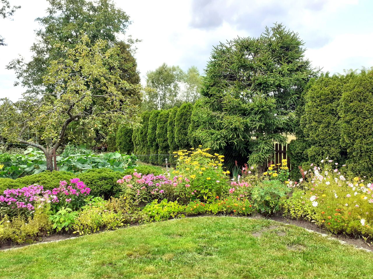 Działka rod Białystok Dojlidy, ul. Dojnowska. Zdjęcie 2