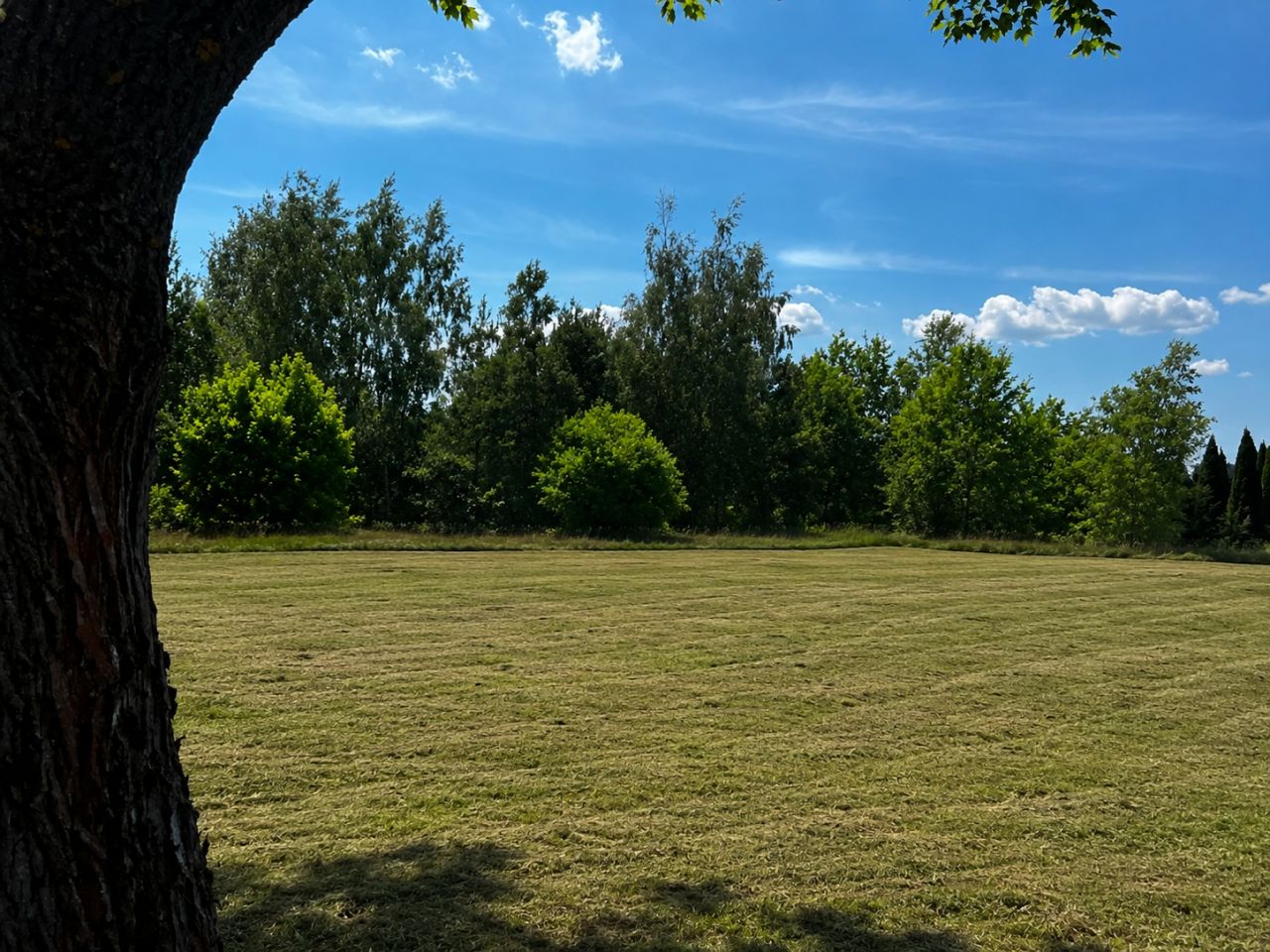 Działka budowlana Leonów, ul. Krokusowa. Zdjęcie 2