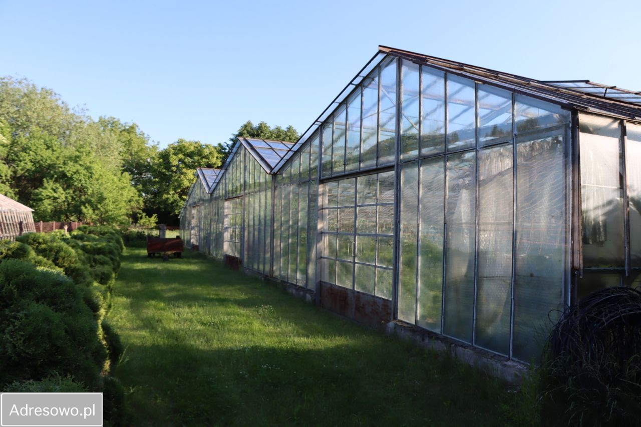 Działka rolna Antoniówka Świerżowska. Zdjęcie 9