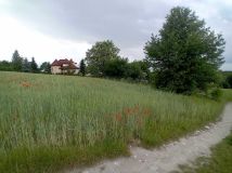 Działka budowlana Borów. Zdjęcie 4