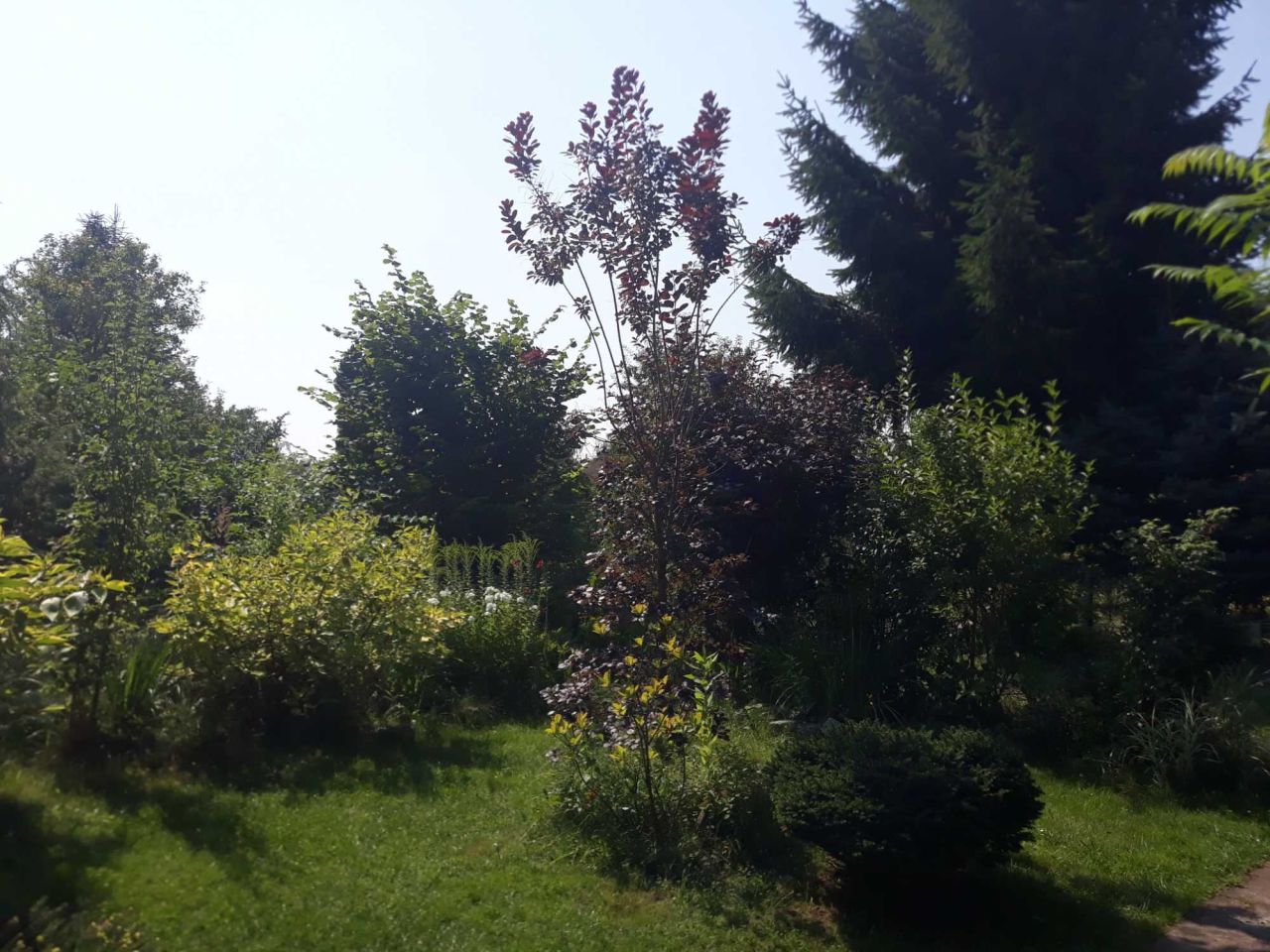 Działka rod Wrocław Fabryczna, ul. Strachowicka. Zdjęcie 7