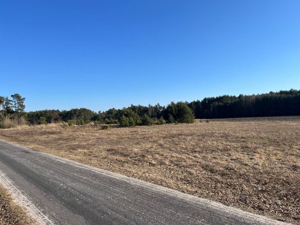 Działka rolno-budowlana Borki Walkowskie. Zdjęcie 3