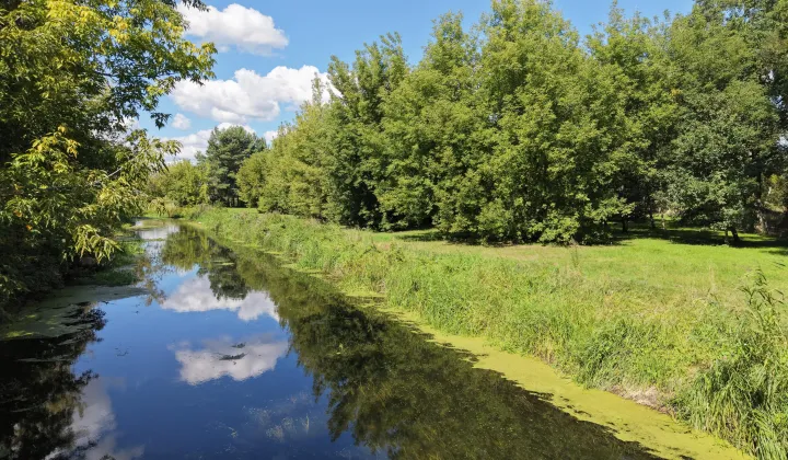 Działka rolno-budowlana Stargard, ul. Nowowiejska