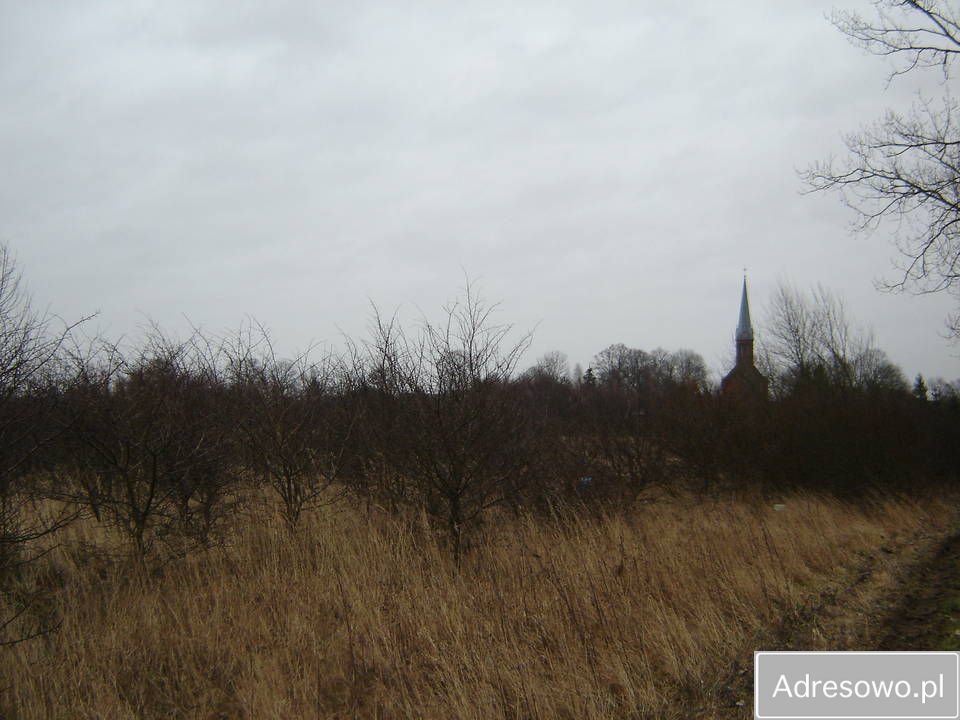 Działka rolna Włodarka. Zdjęcie 2