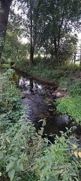 Działka budowlana Popiołki. Zdjęcie 6