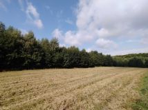 Działka rolna Polany. Zdjęcie 4