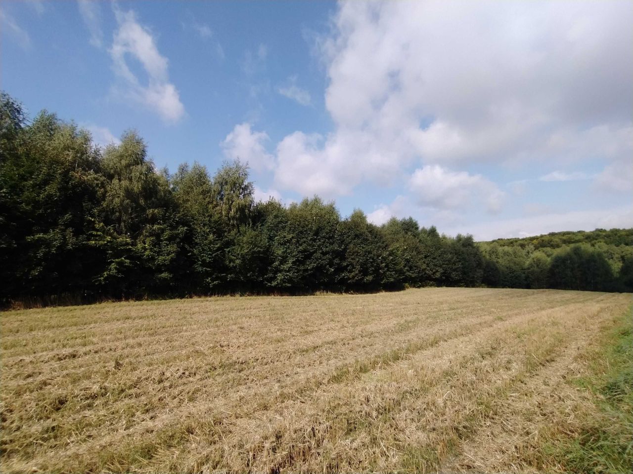 Działka rolna Polany. Zdjęcie 5