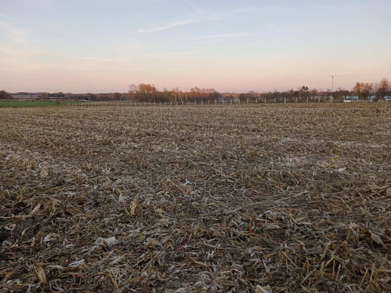 Działka rolno-budowlana Rudawa. Zdjęcie 8