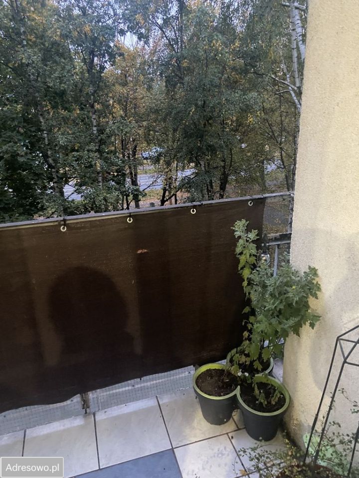 Mieszkanie 3-pokojowe Dzierżoniów, os. Błękitne. Zdjęcie 13