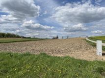 Działka budowlana Pruchnik Pruchnik Dolny, ul. Spacerowa. Zdjęcie 2