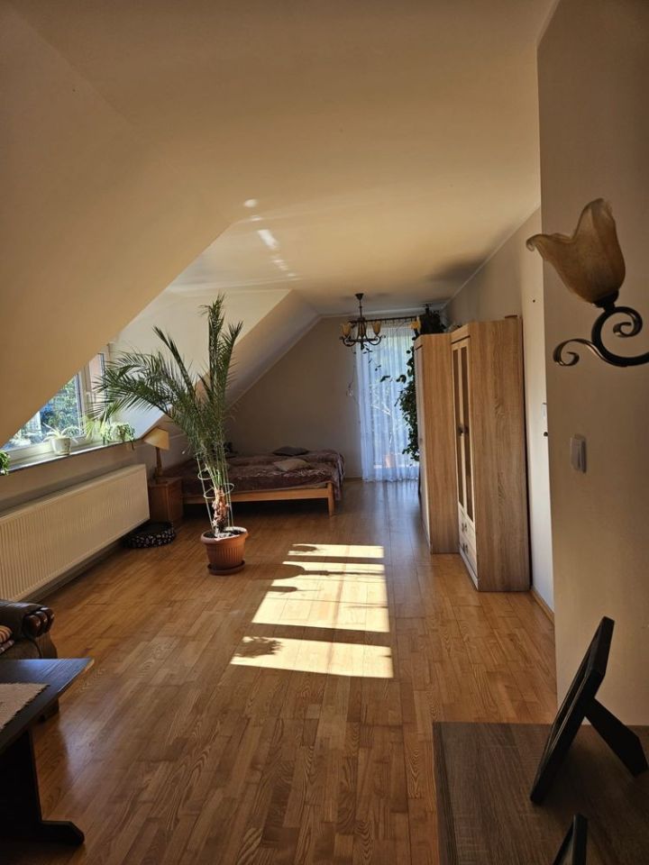 dom wolnostojący Lipiany. Zdjęcie 5