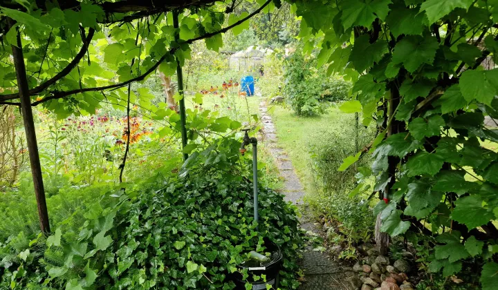 Działka rod Olsztyn Track, ul. Marii Zientary-Malewskiej