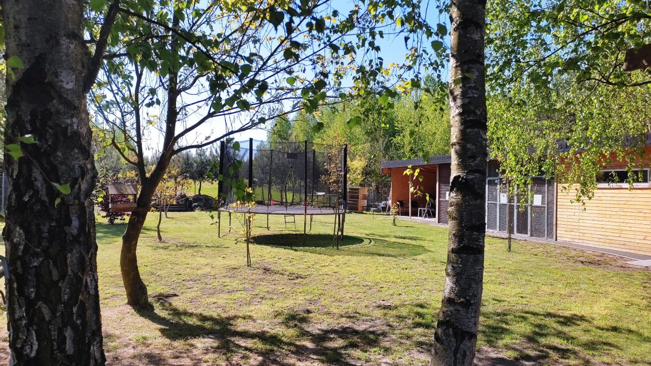 Działka budowlana Głodowo. Zdjęcie 8