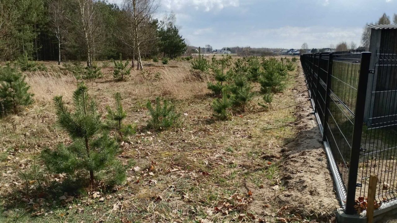 Działka budowlana Kuczki-Wieś. Zdjęcie 2