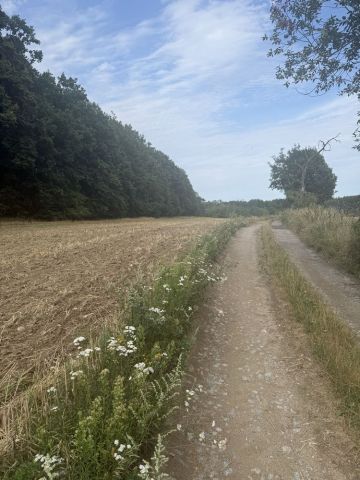 Działka budowlana Roztocznik Dobrocinek. Zdjęcie 1