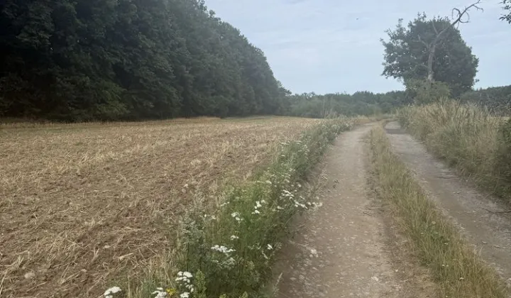 Działka budowlana Roztocznik Dobrocinek