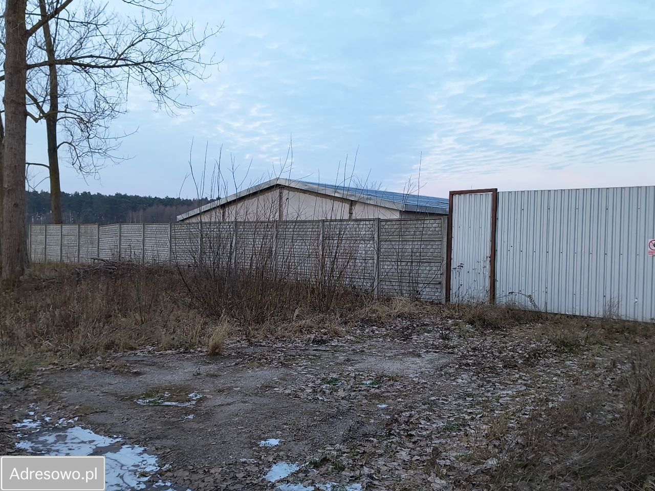 Hala/magazyn Łęki. Zdjęcie 2