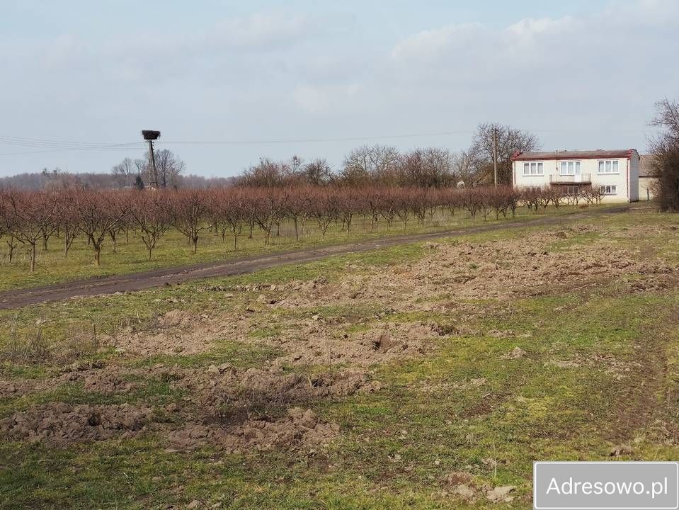 gospodarstwo Bętlewo. Zdjęcie 12