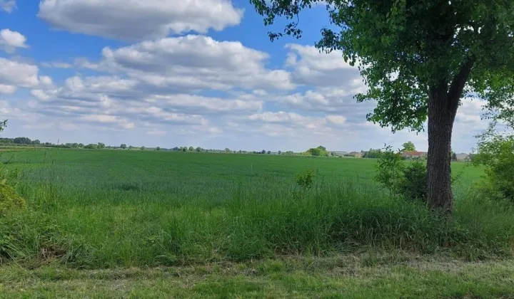 Działka budowlana Piastowice