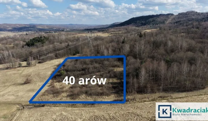 Działka rolna Lutcza