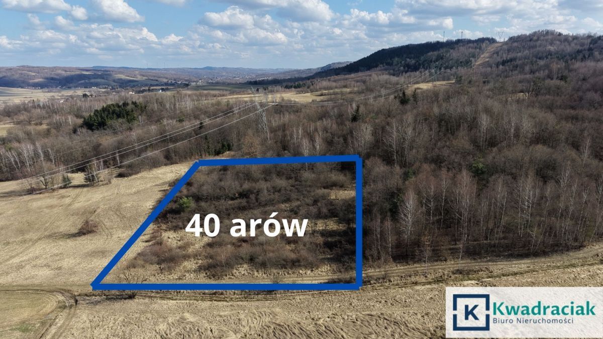 Działka rolna Lutcza. Zdjęcie 1