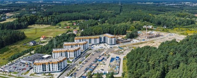 Lokal Gdynia Dąbrowa, ul. Zbigniewa Kupca. Zdjęcie 9