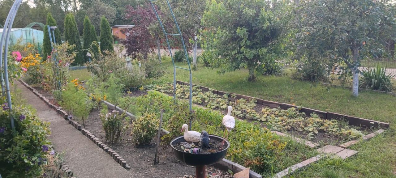 Działka rod Opole, ul. Częstochowska. Zdjęcie 9