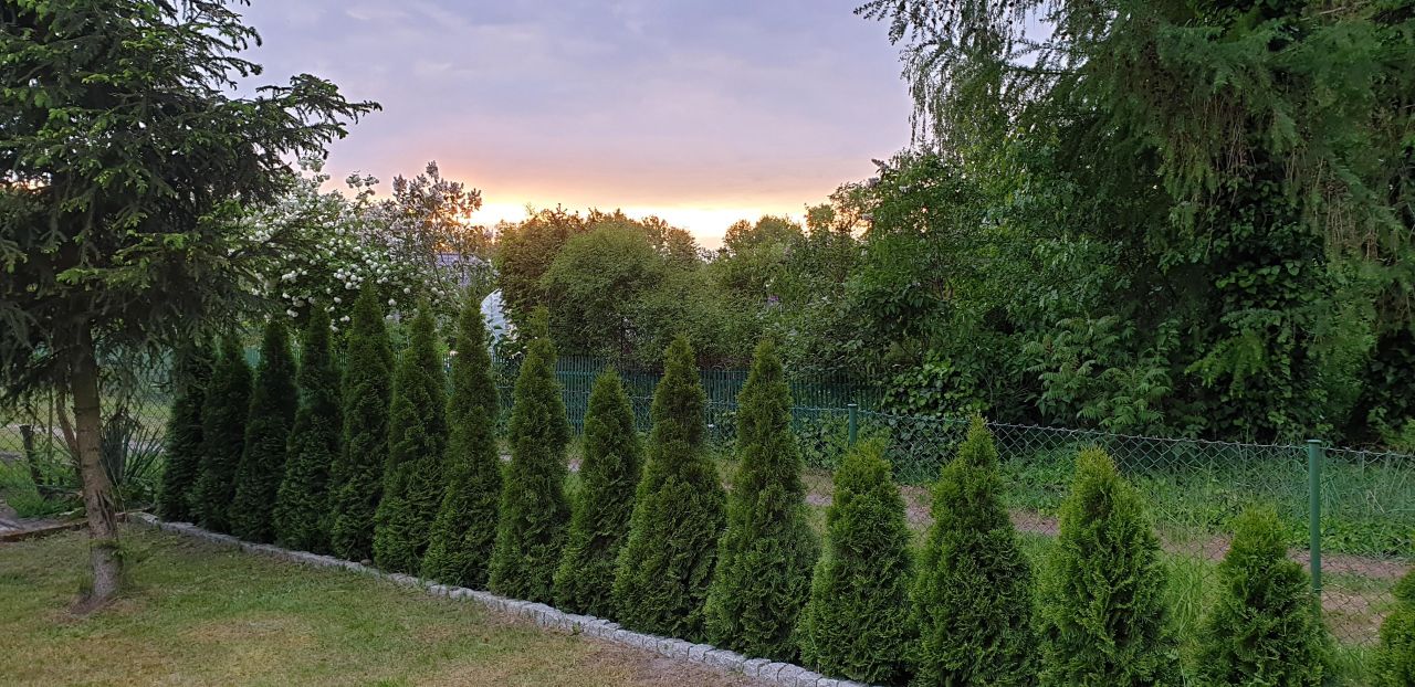 Działka rod Wieluń. Zdjęcie 7